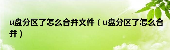 u盘分区了怎么合并文件(u盘分区了怎么合并)