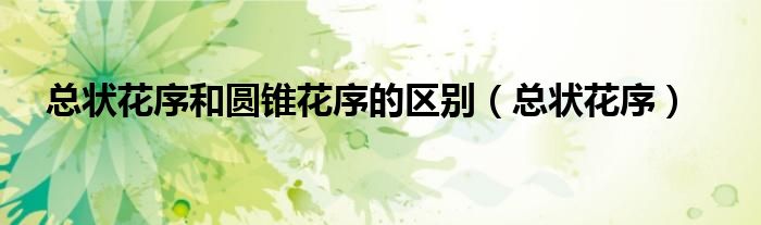 总状花序和圆锥花序的区别(总状花序)