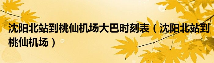 沈阳北站到桃仙机场大巴时刻表(沈阳北站到桃仙机场)