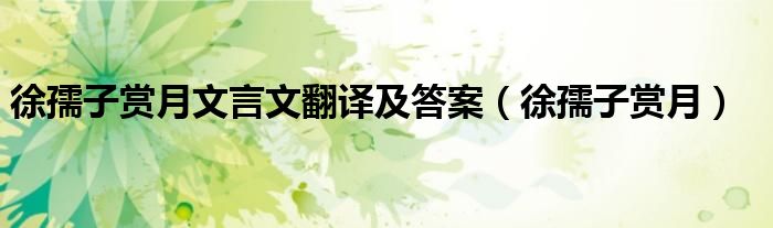 徐孺子赏月文言文翻译及答案(徐孺子赏月)