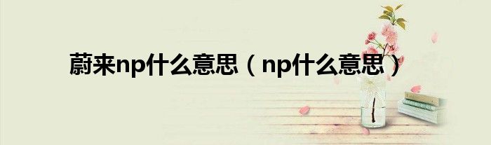 蔚来np什么意思(np什么意思)