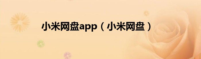 小米网盘app(小米网盘)
