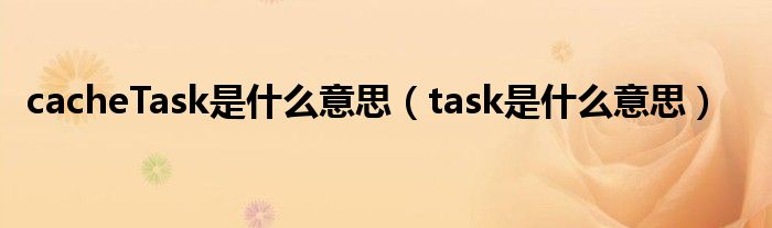 cacheTask是什么意思(task是什么意思)