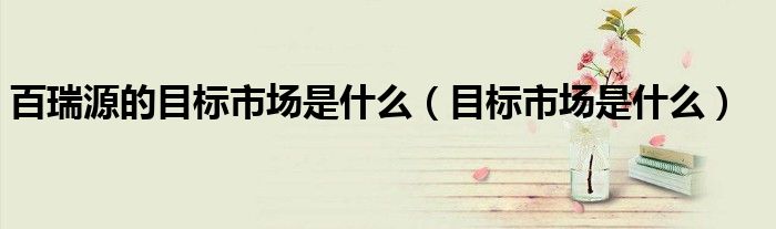 百瑞源的目标市场是什么(目标市场是什么)