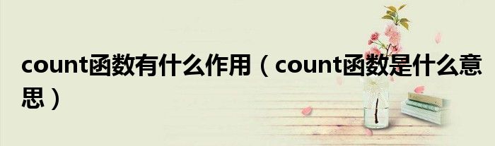 count函数有什么作用(count函数是什么意思)
