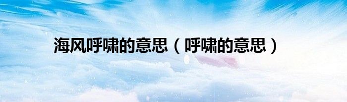 海风呼啸的意思(呼啸的意思)