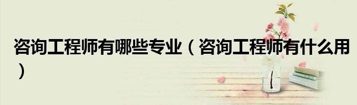 咨询工程师有哪些专业(咨询工程师有什么用)