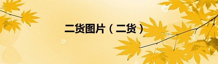 二货图片（二货）