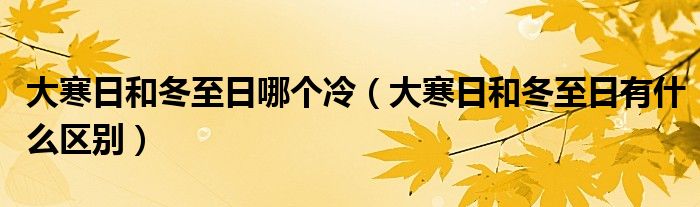 大寒日和冬至日哪个冷(大寒日和冬至日有什么区别)