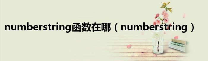 numberstring函数在哪(numberstring)