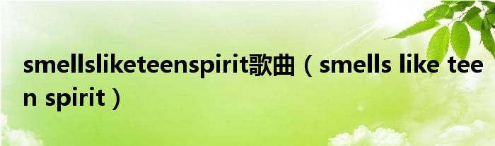 smellsliketeenspirit歌曲(smells like teen spirit)