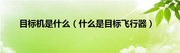 目标机是什么(什么是目标飞行器)