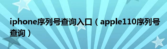 iphone序列号查询入口(apple110序列号查询)