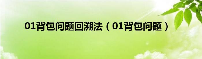 01背包问题回溯法(01背包问题)