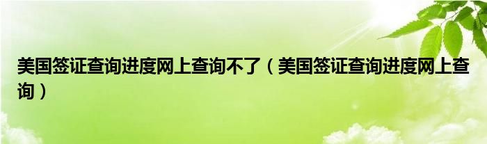美国签证查询进度网上查询不了(美国签证查询进度网上查询)