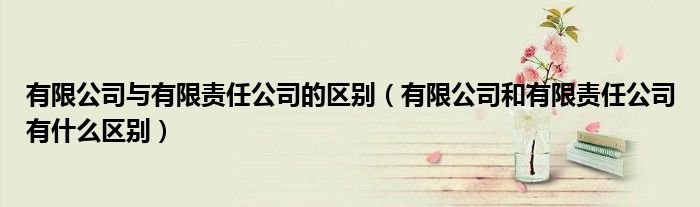 有限公司与有限责任公司的区别(有限公司和有限责任公司有什么区别)