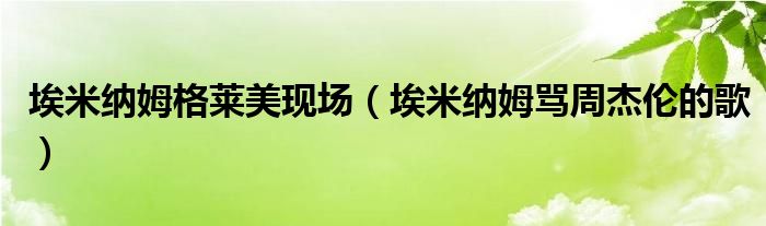 埃米纳姆格莱美现场(埃米纳姆骂周杰伦的歌)