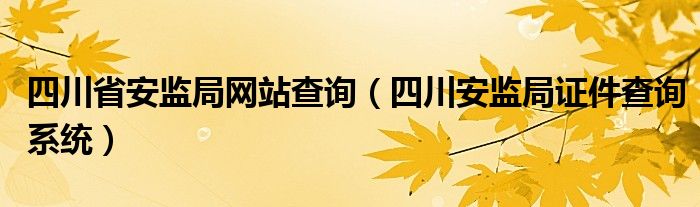 四川省安监局网站查询（四川安监局证件查询系统）