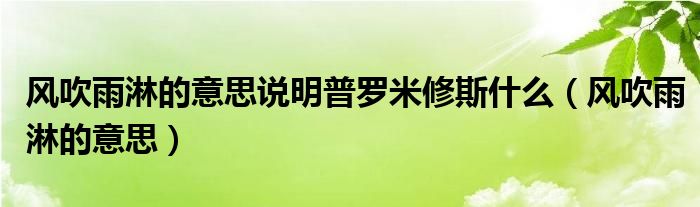 风吹雨淋的意思说明普罗米修斯什么(风吹雨淋的意思)