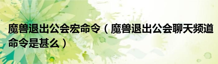 魔兽退出公会宏命令(魔兽退出公会聊天频道命令是甚么)