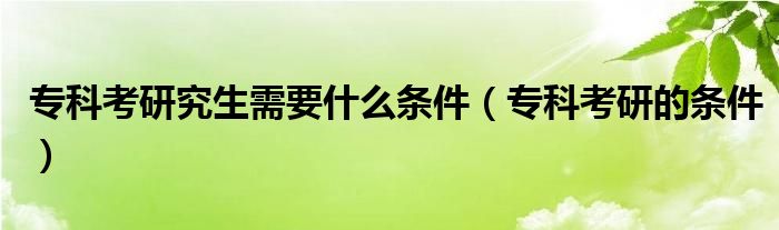 专科考研究生需要什么条件(专科考研的条件)