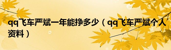 qq飞车严斌一年能挣多少(qq飞车严斌个人资料)