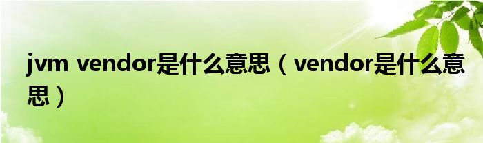 jvm vendor是什么意思(vendor是什么意思)