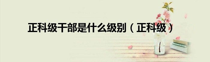 正科级干部是什么级别(正科级)