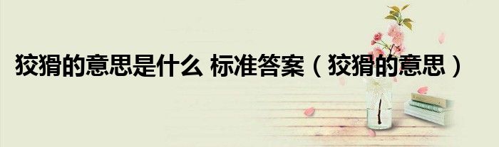 狡猾的意思是什么 标准答案(狡猾的意思)