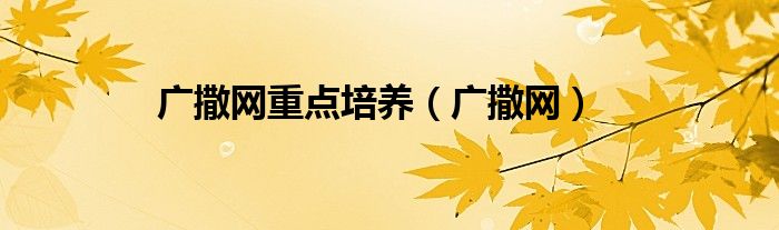 广撒网重点培养(广撒网)