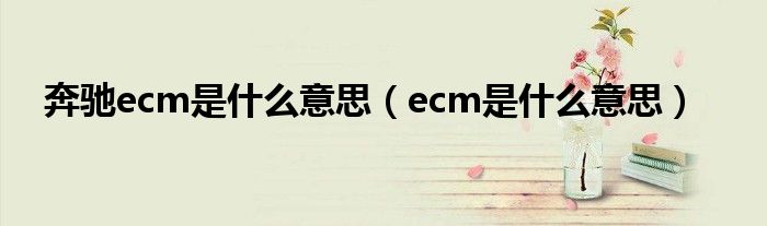 奔驰ecm是什么意思(ecm是什么意思)