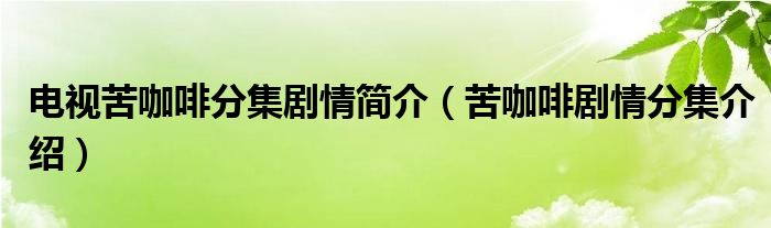 电视苦咖啡分集剧情简介(苦咖啡剧情分集介绍)