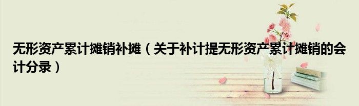 无形资产累计摊销补摊(关于补计提无形资产累计摊销的会计分录)