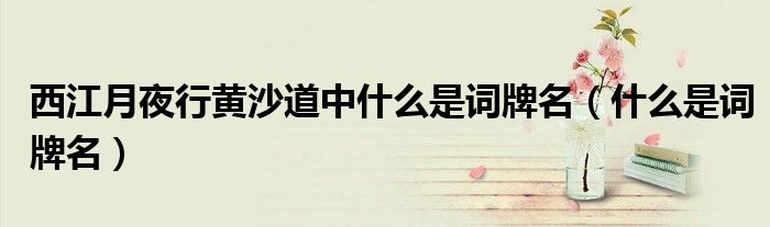 西江月夜行黄沙道中什么是词牌名(什么是词牌名)