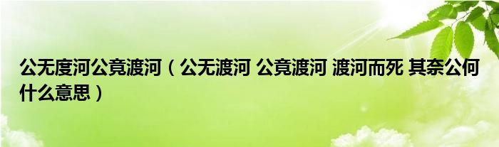 公无度河公竟渡河(公无渡河 公竟渡河 渡河而死 其奈公何什么意思)