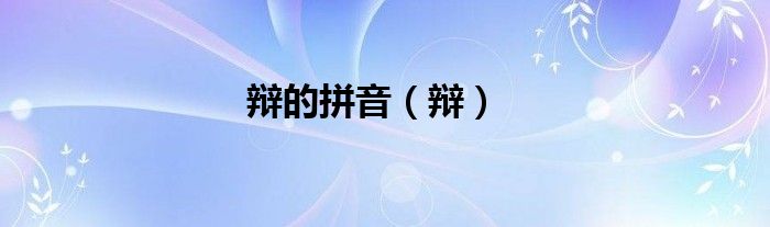 辩的拼音（辩）