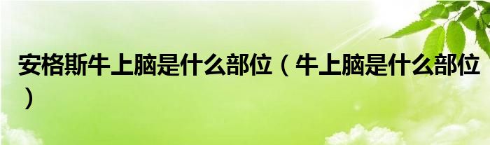 安格斯牛上脑是什么部位(牛上脑是什么部位)