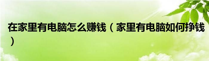 在家里有电脑怎么赚钱(家里有电脑如何挣钱)