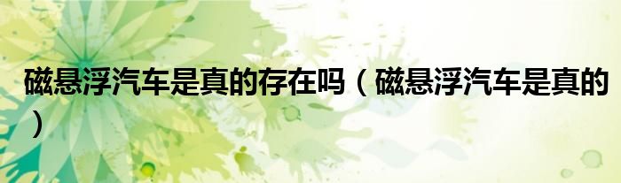 磁悬浮汽车是真的存在吗(磁悬浮汽车是真的)