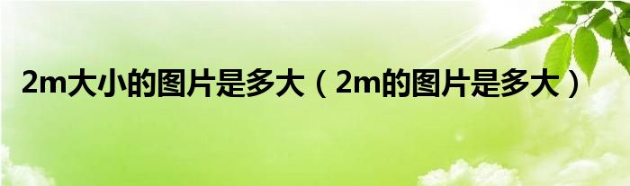 2m大小的图片是多大(2m的图片是多大)