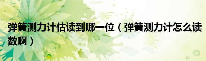 弹簧测力计估读到哪一位(弹簧测力计怎么读数啊)