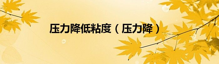 压力降低粘度(压力降)