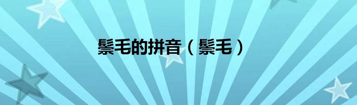 鬃毛的拼音（鬃毛）