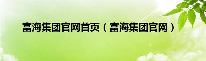 富海集团官网首页(富海集团官网)