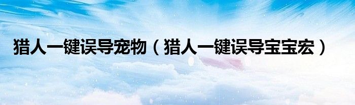 猎人一键误导宠物(猎人一键误导宝宝宏)