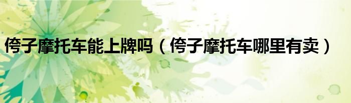侉子摩托车能上牌吗(侉子摩托车哪里有卖)