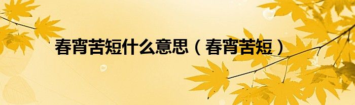 春宵苦短什么意思(春宵苦短)