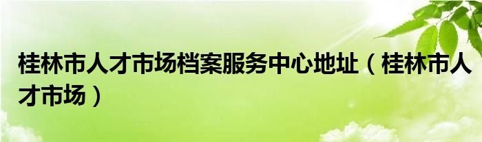 桂林市人才市场档案服务中心地址(桂林市人才市场)