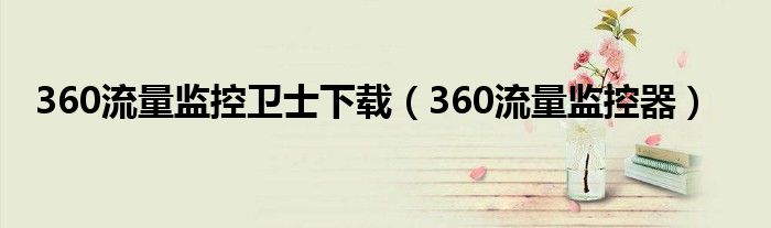 360流量监控卫士下载(360流量监控器)