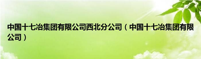 中国十七冶集团有限公司西北分公司(中国十七冶集团有限公司)